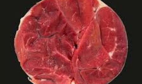 Shin of Beef &lpar;1&period;00 kg&rpar;
